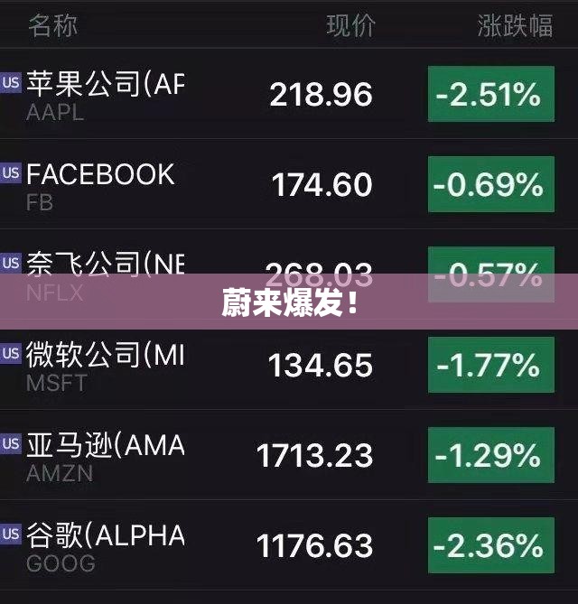蔚来汽车，爆发式增长背后的故事-第2张图片-赛丽网