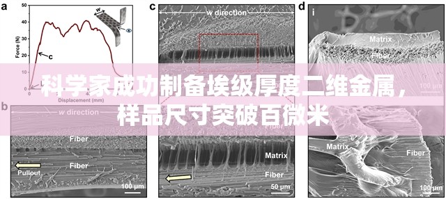 科学家成功制备埃级厚度二维金属，样品尺寸突破百微米-第1张图片-赛丽网