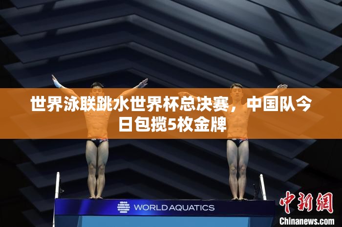 中国队在跳水世界杯总决赛中大放异彩，斩获5枚金牌-第3张图片-赛丽网