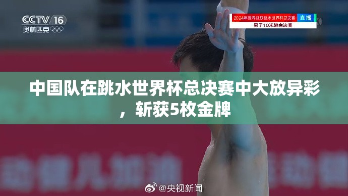 中国队在跳水世界杯总决赛中大放异彩，斩获5枚金牌-第2张图片-赛丽网
