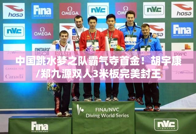 中国跳水梦之队，胡宇康/郑九源双人3米板完美夺冠-第1张图片-赛丽网