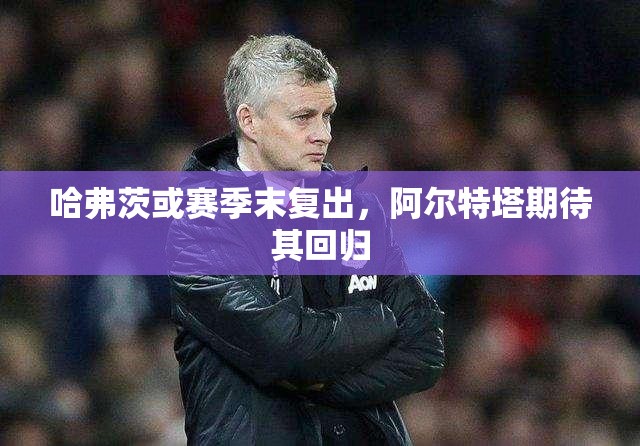 哈弗茨或赛季末复出，阿尔特塔期待其回归-第3张图片-赛丽网