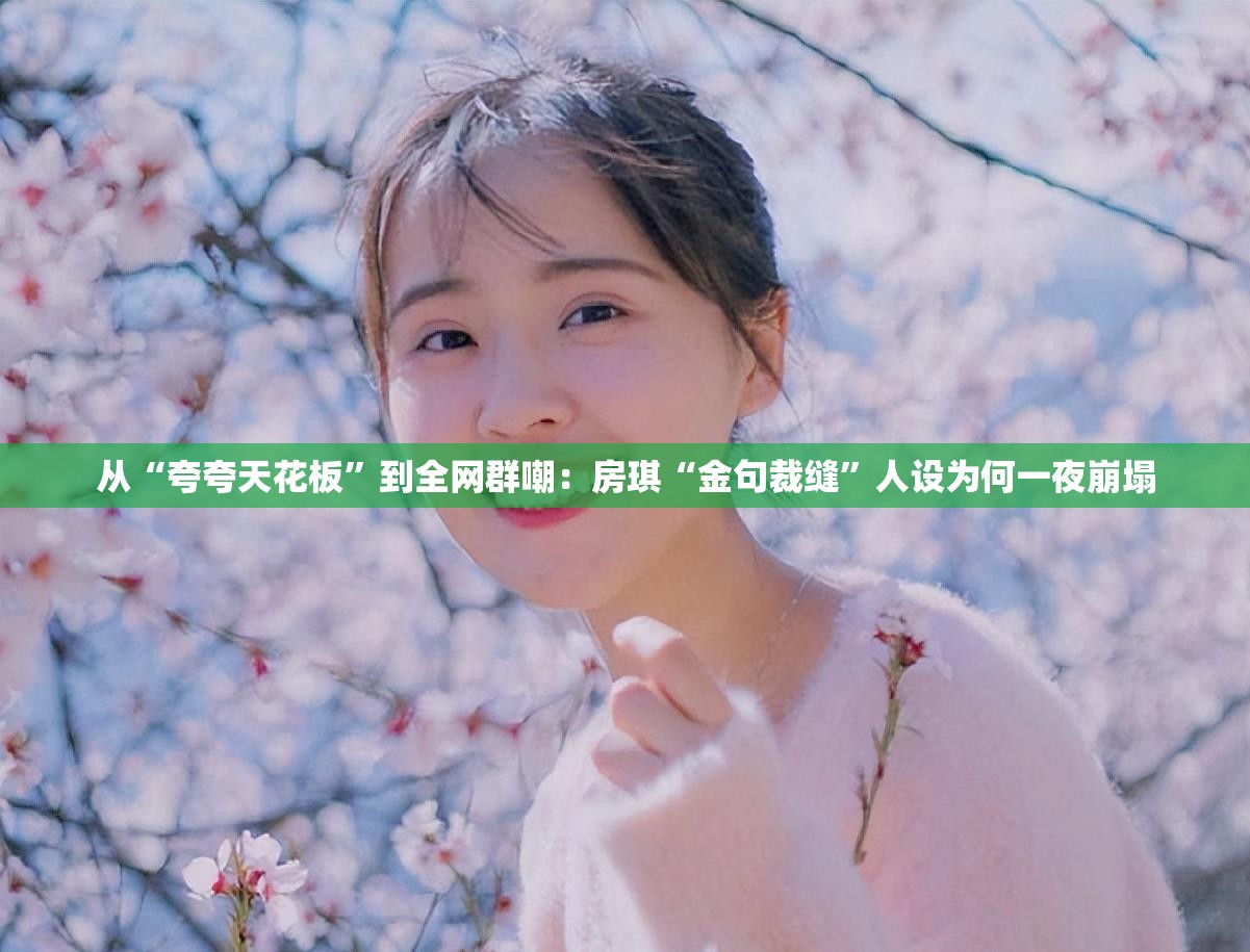 房琪‘金句裁缝’人设崩塌，从夸夸天花板到全网群嘲的背后-第2张图片-赛丽网