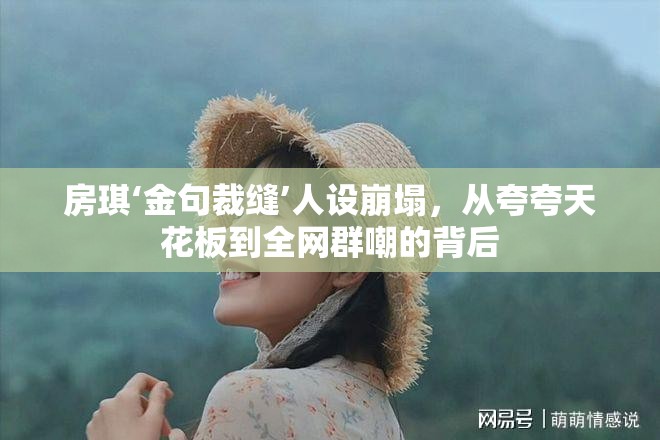 房琪‘金句裁缝’人设崩塌，从夸夸天花板到全网群嘲的背后-第1张图片-赛丽网