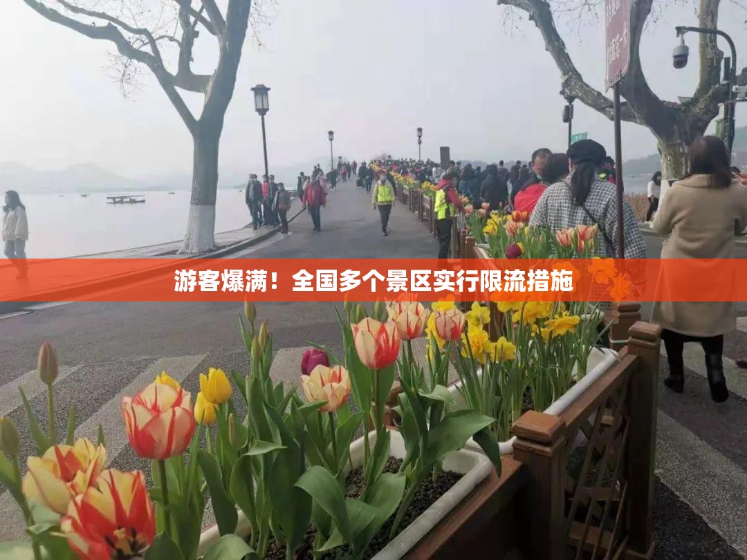 全国多地景区因游客爆满实行限流措施-第2张图片-赛丽网