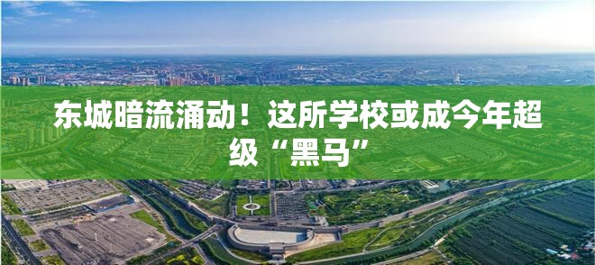 东城暗流，这所学校或成今年教育界的超级黑马？-第1张图片-赛丽网