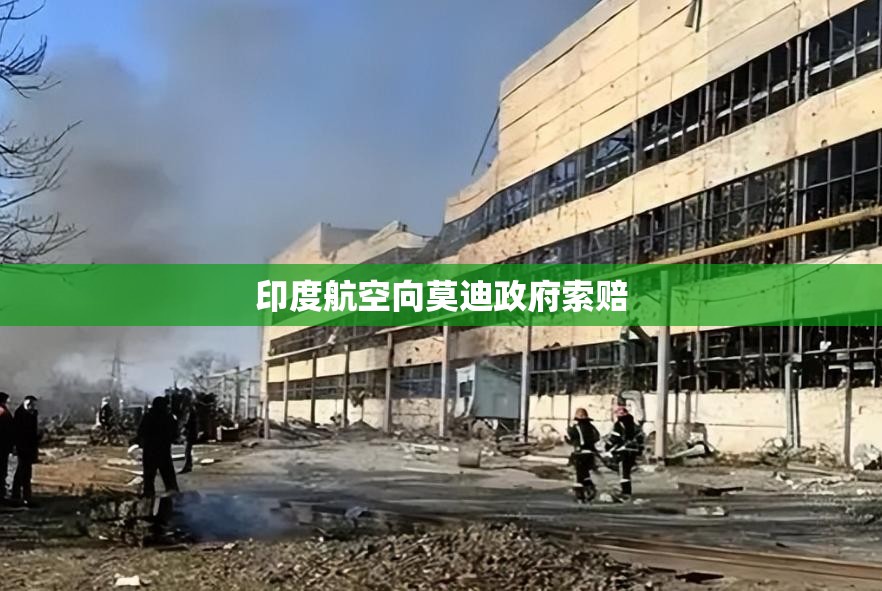 印度航空向莫迪政府索赔，航空业困境下的维权之路-第1张图片-赛丽网