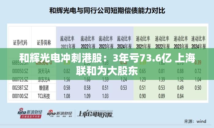 和辉光电冲刺港股，三年巨亏73.6亿，上海联和持股领航-第2张图片-赛丽网