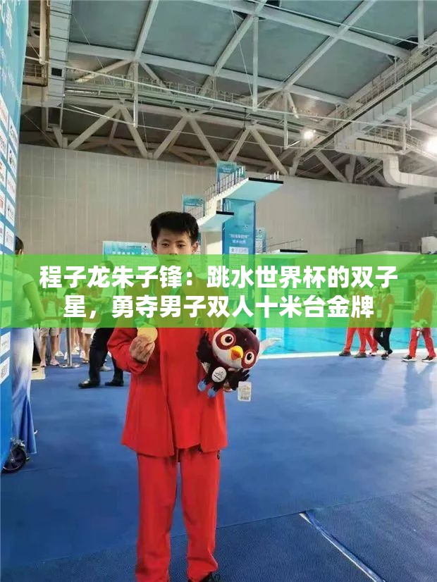 双子星程子龙朱子锋，勇夺跳水世界杯男子双人十米台金牌-第2张图片-赛丽网