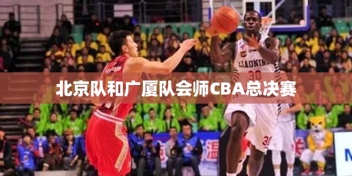 CBA总决赛，北京队与广厦队强强对决-第1张图片-赛丽网
