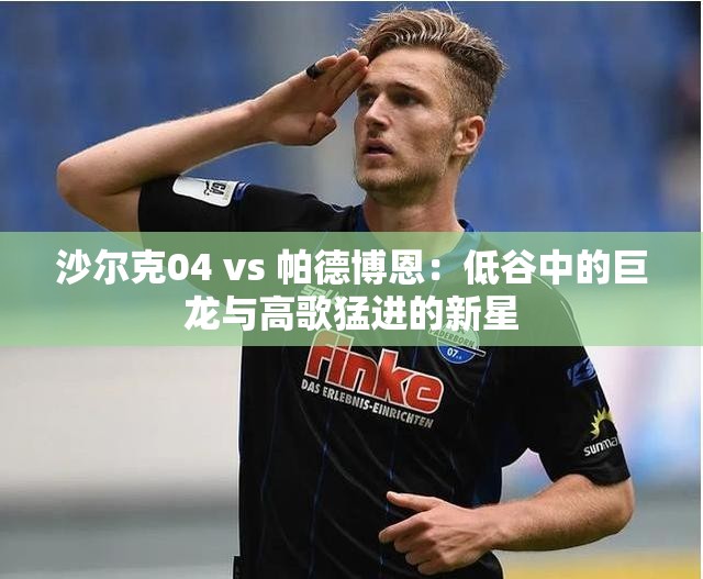 沙尔克04与帕德博恩，低谷中的巨龙与高歌猛进的新星对决-第1张图片-赛丽网