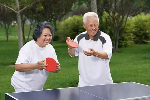 智慧赋能，年长球友的乒乓球技艺提升之道-第2张图片-赛丽网