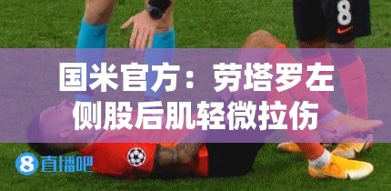 国米官方，劳塔罗左侧股后肌轻微拉伤，伤情需谨慎处理-第1张图片-赛丽网