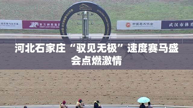 石家庄‘驭见无极’速度赛马盛会，点燃激情，驰骋无极-第1张图片-赛丽网