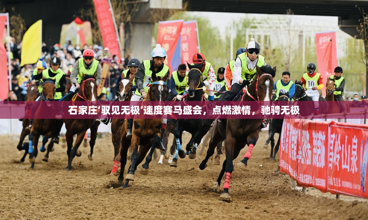 石家庄‘驭见无极’速度赛马盛会，点燃激情，驰骋无极-第2张图片-赛丽网