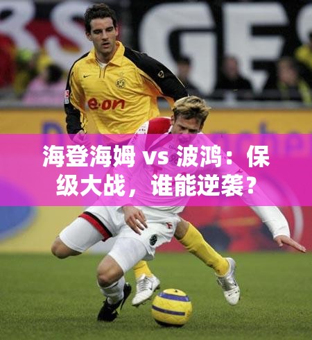 海登海姆与波鸿，保级关键战，谁能逆流而上？-第1张图片-赛丽网