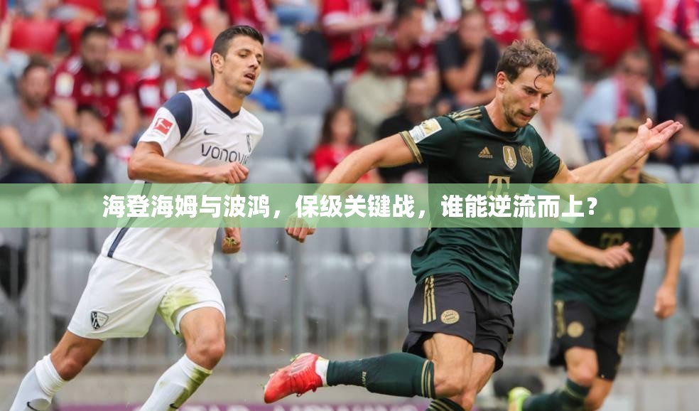 海登海姆与波鸿，保级关键战，谁能逆流而上？-第3张图片-赛丽网