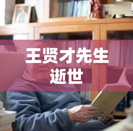 悼念王贤才先生，一位杰出人物的离世-第2张图片-赛丽网