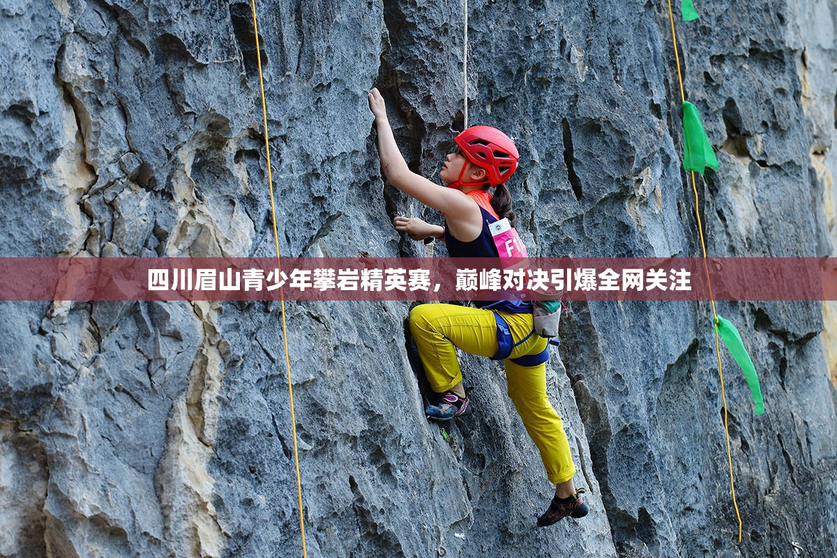 四川眉山青少年攀岩精英赛，巅峰对决引爆全网关注-第3张图片-赛丽网