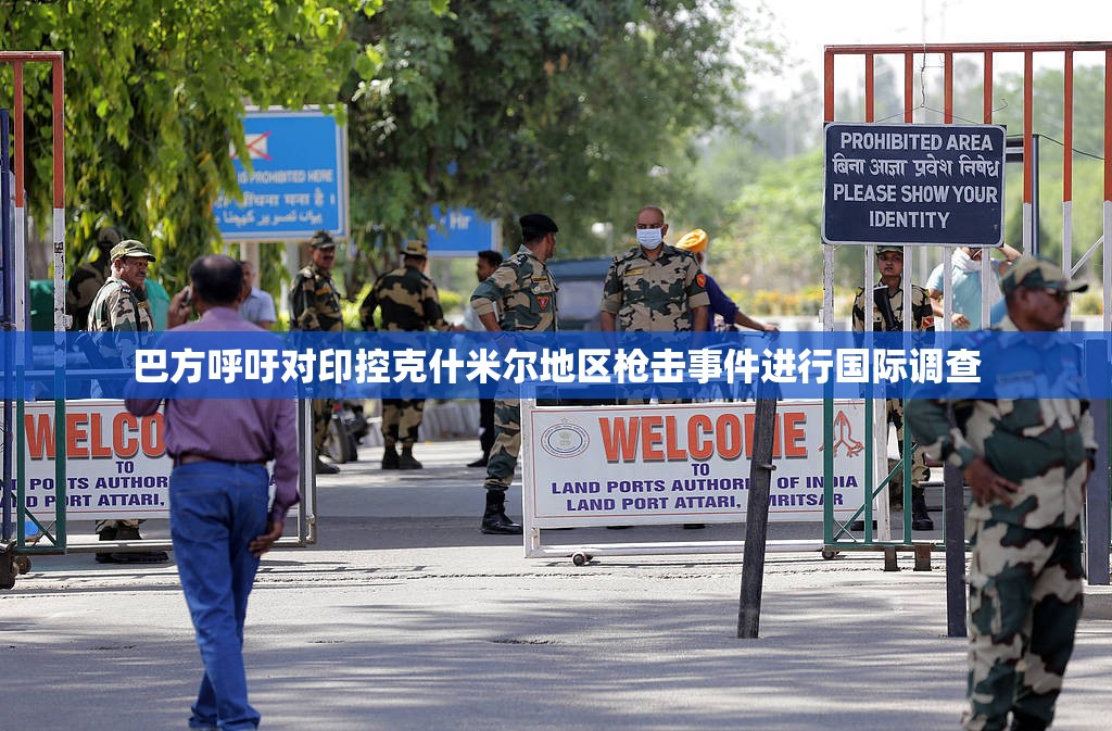 巴方呼吁国际调查印控克什米尔地区枪击事件-第3张图片-赛丽网