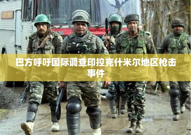 巴方呼吁国际调查印控克什米尔地区枪击事件-第2张图片-赛丽网