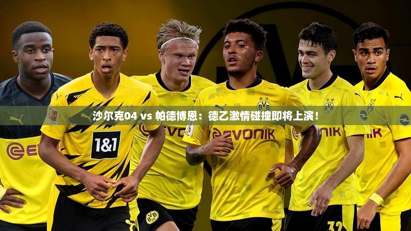 德乙激战，沙尔克04对阵帕德博恩，谁将主宰赛场？-第1张图片-赛丽网