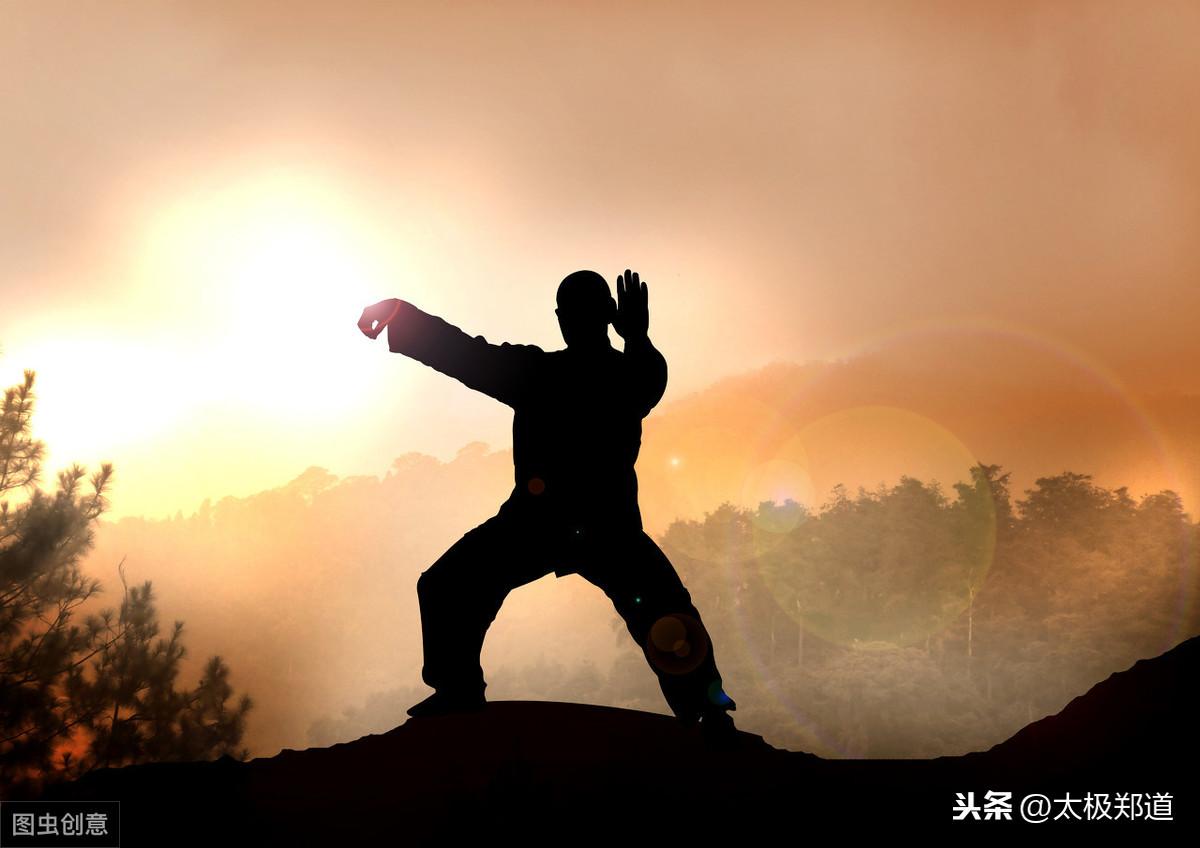 十年太极修炼，揭秘双重之病，太极拳修炼中的心理与身体双重挑战-第3张图片-赛丽网