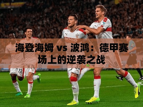 德甲赛场，海登海姆对阵波鸿的逆袭对决-第2张图片-赛丽网