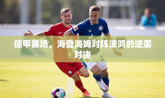 德甲赛场，海登海姆对阵波鸿的逆袭对决-第1张图片-赛丽网