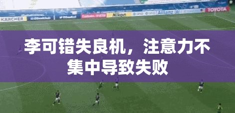李可错失良机，注意力不集中导致失败-第1张图片-赛丽网