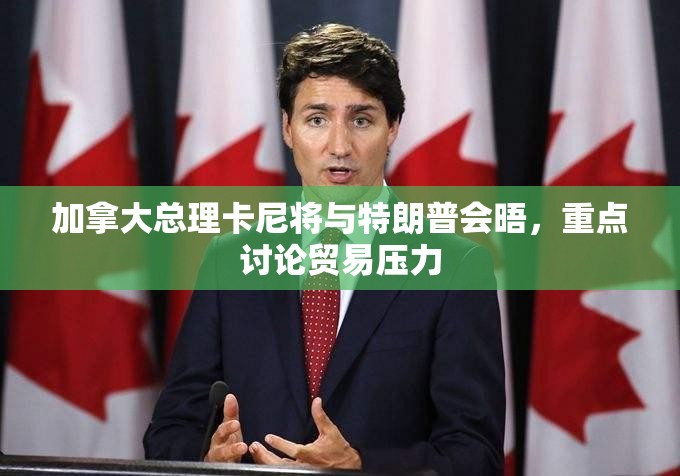 加拿大总理卡尼将与特朗普会晤，重点讨论贸易压力-第3张图片-赛丽网