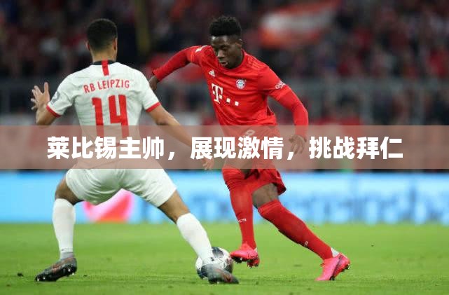 莱比锡主帅，展现激情，挑战拜仁-第3张图片-赛丽网