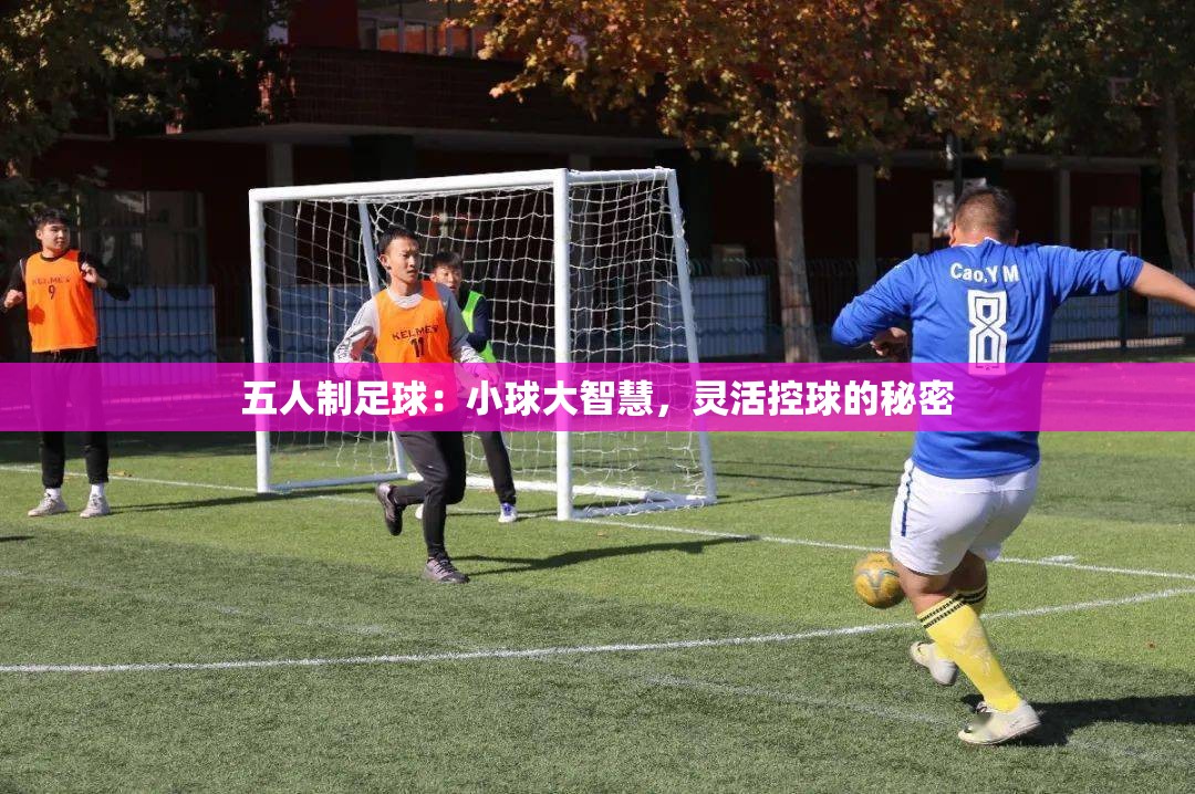 五人制足球，小球大智慧——灵活控球的秘密-第3张图片-赛丽网