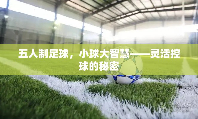 五人制足球，小球大智慧——灵活控球的秘密-第2张图片-赛丽网