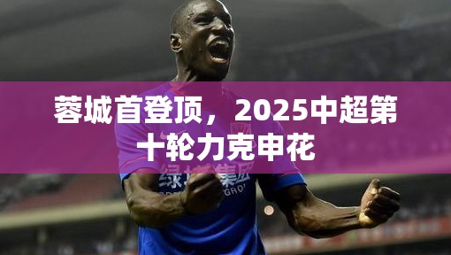 蓉城首登顶，2025中超第十轮力克申花-第2张图片-赛丽网