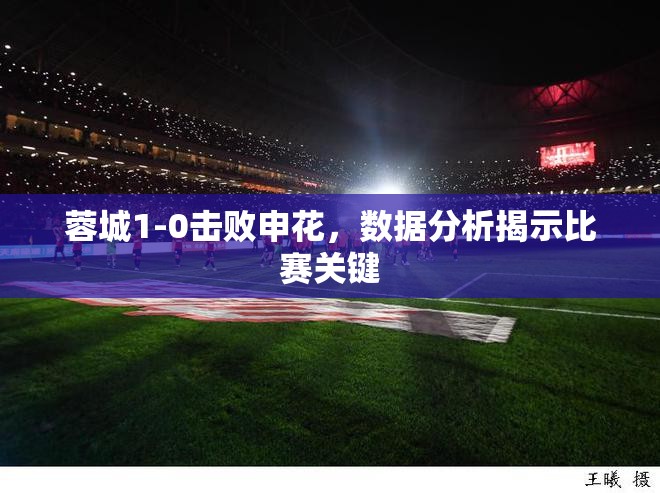 蓉城1-0胜出，数据透视申花对决的关键时刻-第2张图片-赛丽网
