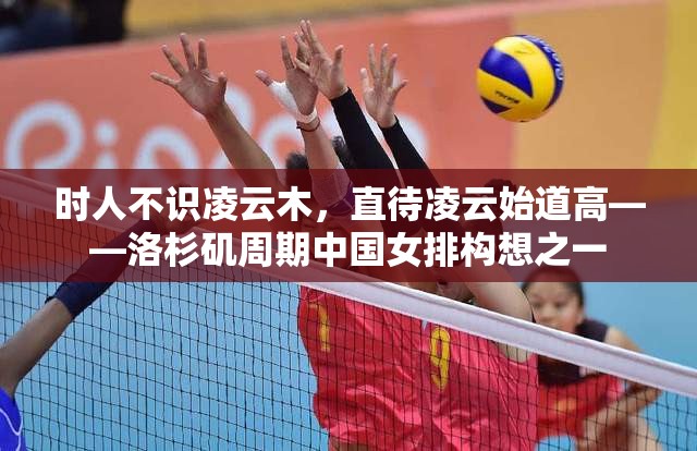 凌云之志，洛杉矶周期中国女排的崛起构想-第2张图片-赛丽网