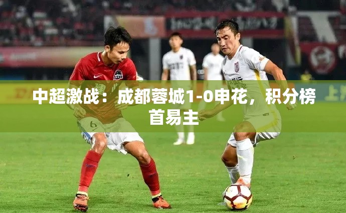 成都蓉城1-0力克申花，中超积分榜首易主-第2张图片-赛丽网