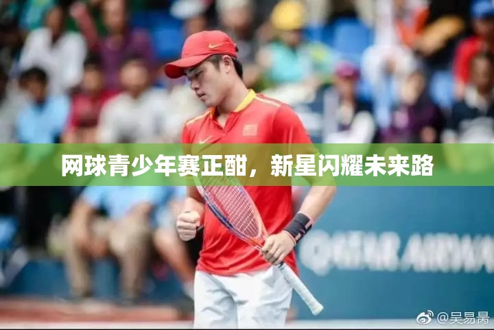 网球新星闪耀，青少年赛场上的未来之路-第2张图片-赛丽网
