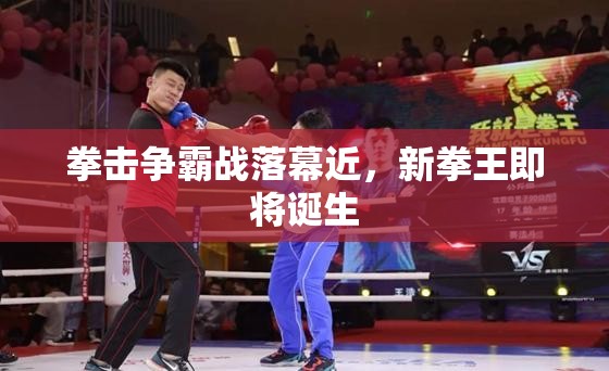 拳击争霸战落幕，新拳王即将加冕-第2张图片-赛丽网
