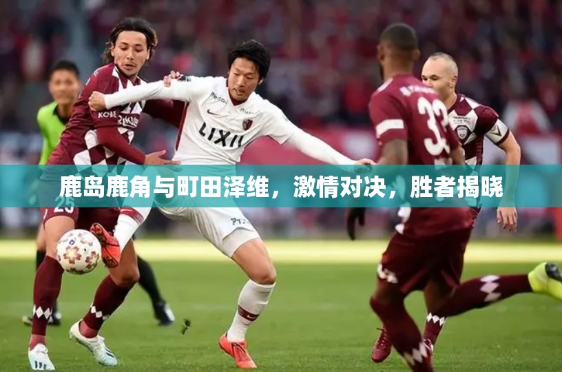 鹿岛鹿角与町田泽维，激情对决，胜者揭晓-第1张图片-赛丽网
