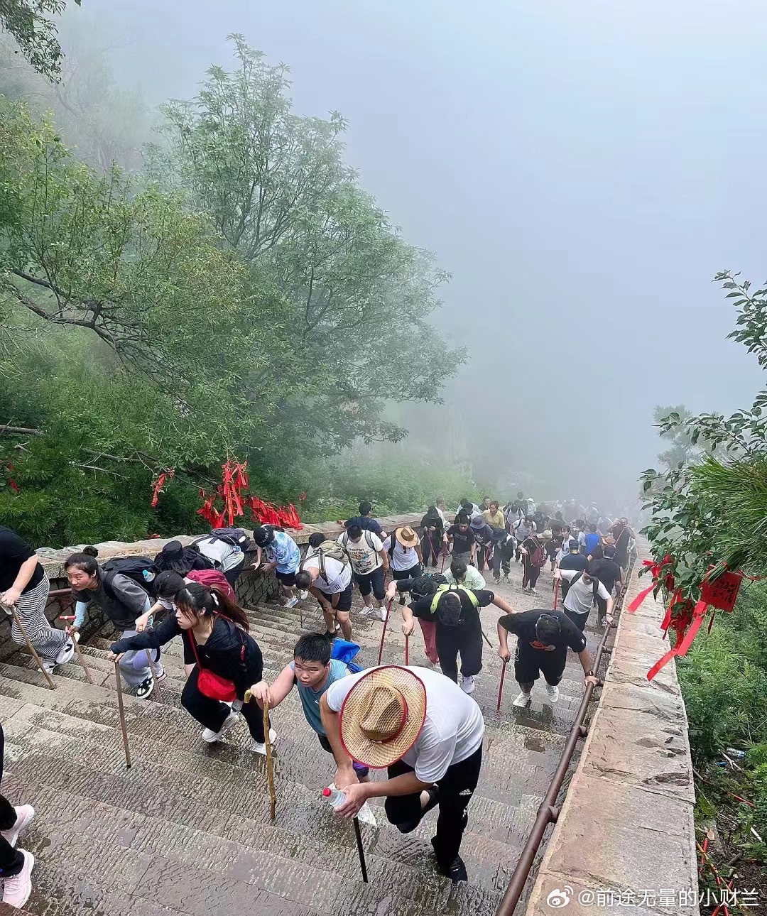 泰山陪爬行业，热搜背后的暴利与挑战-第2张图片-赛丽网