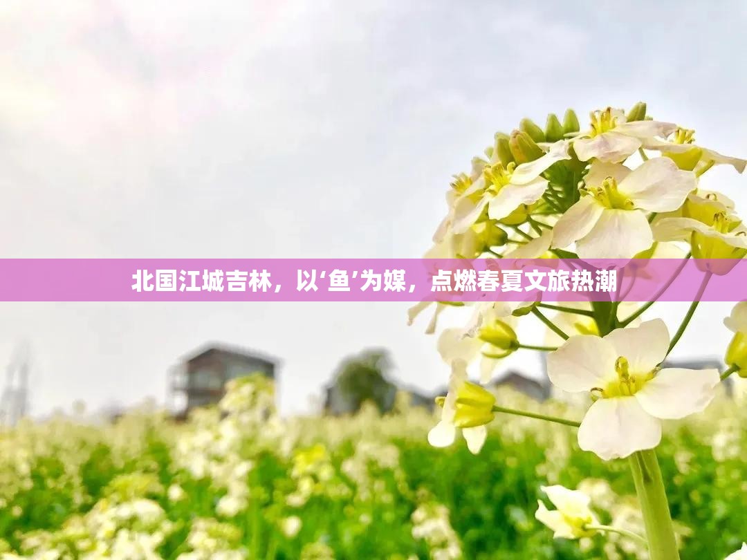 北国江城吉林，以‘鱼’为媒，点燃春夏文旅热潮-第1张图片-赛丽网