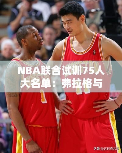 NBA联合试训75人大名单揭晓，弗拉格与杨瀚森双双入选-第2张图片-赛丽网