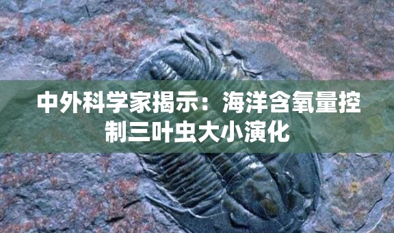 三叶虫大小演化的奥秘，海洋含氧量控制揭秘-第2张图片-赛丽网