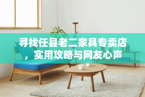 寻找任县老二家具专卖店，实用攻略与网友心声-第1张图片-赛丽网
