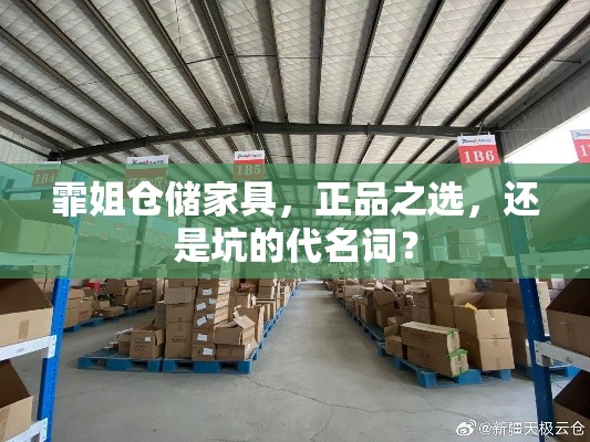 霏姐仓储家具，正品之选，还是坑的代名词？-第1张图片-赛丽网