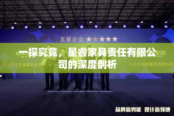 一探究竟，星睿家具责任有限公司的深度剖析-第1张图片-赛丽网