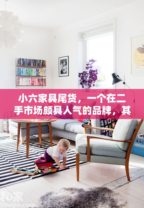 小六家具尾货，一个在二手市场颇具人气的品牌，其独特的魅力在于那些被精心挑选的576件家具尾货。这些家具，每一件都承载着文华的韵味，是品质与艺术的完美结合。-第1张图片-赛丽网
