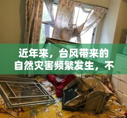 近年来，台风带来的自然灾害频繁发生，不仅对人们的生命安全构成威胁，还常常导致大量家具被吹飞，造成财产损失和安全隐患。本文将深入分析台风中家具被吹飞的原因，以期为未来的防灾减灾工作提供参考。-第1张图片-赛丽网